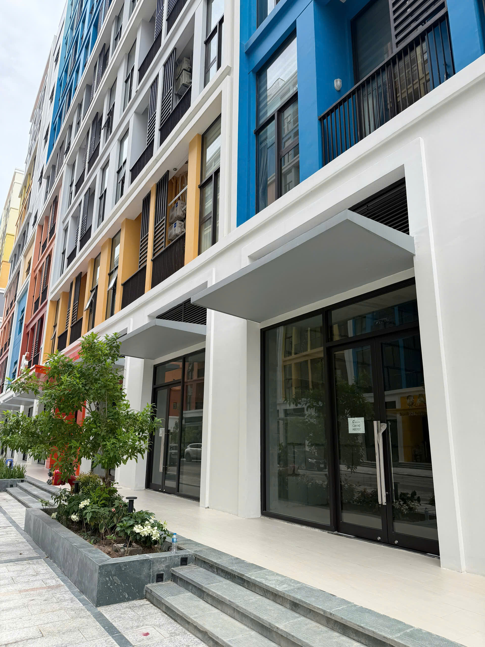 Mặt tiền shophouse mới xây nhiều màu sắc với cửa kính lớn và bồn cây xanh phía trước